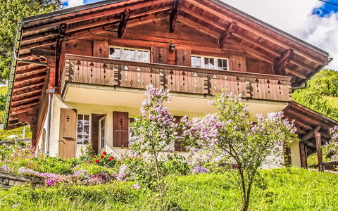 Chalet Reinhysi: Casa, Villetta, Casa, Area Rurale, Agriturismo, Valle, Portico, Giardino, Villaggio