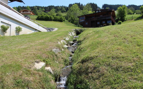 Wildbachl: Proprietà, Paesaggio Naturale, Erba, Casa, Area Rurale, Lotto, Pascolo, Pascolo, Villetta, Prato