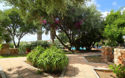 Bouganville: Proprietà, Albero, Vegetazione, Giardino, Immobiliare, Botanica, Pianta, Casa, Woody Impianto, Primavera