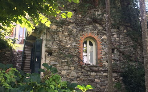Villa Ghis - Sleeps 16: Vegetazione, Casa, Parete, Foglia, Albero, Pianta, Costruzione, Villetta, Architettura, Arco