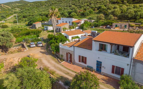 Sibilla: Pianta, Costruzione, Proprietà, Finestra, Cielo, Albero, Azzurro, Casa, Quartiere, Zona Residenziale