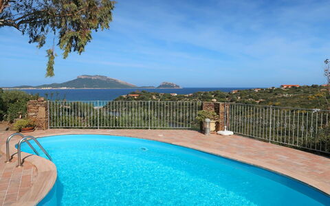 Gardenia: Piscina, Proprietà, Immobiliare, Ricorrere, Azzurro, Tempo Libero, Vacanza, Estate, Costruzione, Casa