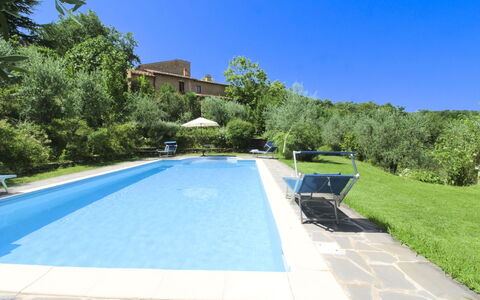 Villa Gioiosa: Piscina, Ricorrere, Eco Hotel, Mobili Da Esterno, Estate, Hacienda, Villa, Backyard, Shade, Giardino