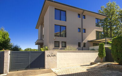 Oliva
