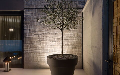 Oliva 1: Vaso Di Fiori, Luce, Parete, Albero, Illuminazione, Architettura, Pianta, Proprietà Del Materiale, Pianta Della Casa, Interior Design