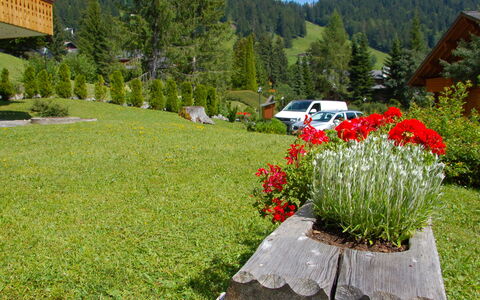 Aiguilles Dorées Iii 2: Pianta, Fiore, Comunita 'Impianto, Montagna, Albero, Cielo, Nube, Foglia, Auto, Paesaggio Naturale