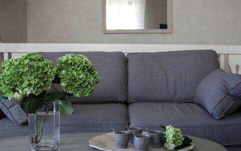 Agave: Verde, Soggiorno, Mobilia, Tavolino Da Caffè, Camera, Divano, Interior Design, Tavolo, Proprietà, Parete