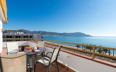 Roses 940