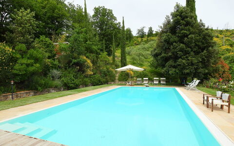 Paradiso: Piscina, Proprietà, Tempo Libero, Immobiliare, Casa, Vacanza, Erba, Albero, Estate, Ricorrere