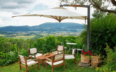 Paradiso: Ombrello, Proprietà, Shade, Mobilia, Erba, Tavolo, Terrazza, Immobiliare, Albero, Costruzione