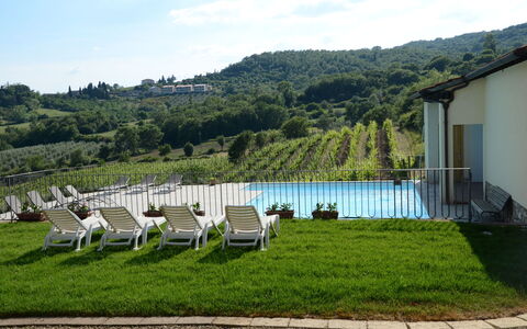 Agriturismo Cincinelli: Proprietà, Erba, Paesaggio Naturale, Prato, Casa, Lotto, Hill Station, Immobiliare, Estate, Mobilia