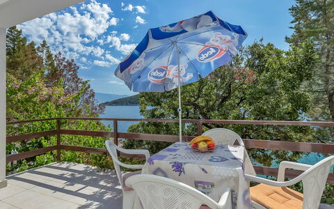 Ruža: Ombrello, Casa, Albero, Camera, Immobiliare, Mobilia, Montagna, Fashion Accessory, Vacanza, Tessile