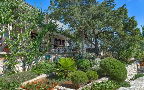 Martina: Proprietà, Immobiliare, Albero, Vegetazione, Casa, Giardino, Casa, Pianta, Cortile, Costruzione