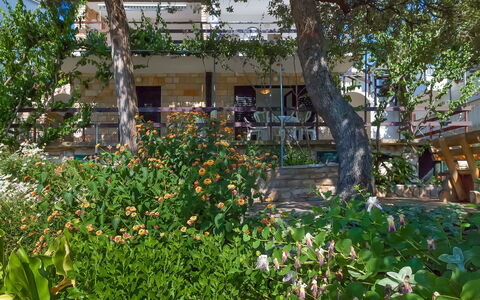 Martina: Fiore, Pianta, Costruzione, Proprietà, Finestra, Albero, Foglia, Cielo, Casa, Vegetazione