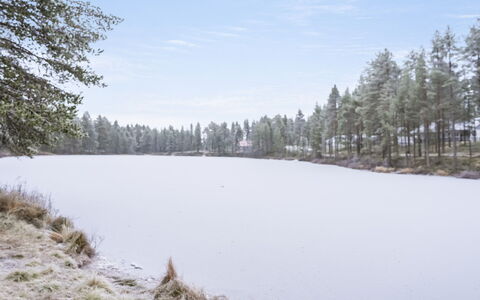 Villa Lakka: Albero, Ambiente Naturale, Natura, Ramo, Paesaggio Naturale, Inverno, Neve, Natura Selvaggia, Congelamento, Foresta