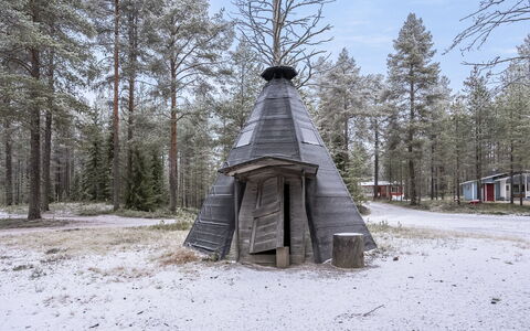 Villa Valokki: Legna, Inverno, Foresta, Congelamento, Woodland, Larice, Boschetto, Neve