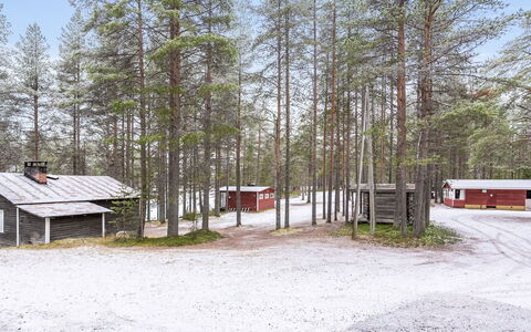 Villa Valokki: Albero, Legna, Ramo, Neve, Inverno, Villetta, Tetto, Congelamento, Capannone, Woodland