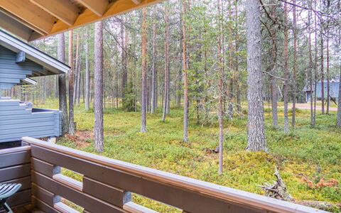 Purnukylä 6: Legna, Raccordo, Latifoglie, Color Legno, Plank, Illuminazione Diurna