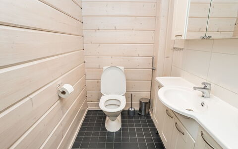 Rukanloisto B: Toilet Seat, Pavimentazione, Bagno, Gabinetto, Idraulico Fixture, Pavimento, Legna, Lavello, Interior Design, Idraulico