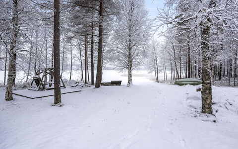 Keloranta: Neve, Ramo, Inverno, Albero, Ambiente Naturale, Legna, Bianca, Ramoscello, Foresta, Congelamento