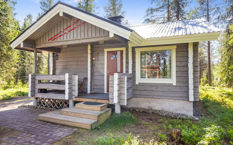Pelkkaveska: Legna, Villetta, Casa, Raccordo, Log Cabin, Edifici Giardino, Capannone, Larice, Woodland