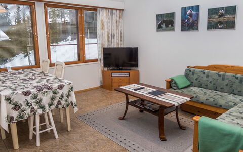 Karhunvartijan Linna B14: Mobilia, Interior Design, Legna, Pavimentazione, Pavimento, Soffitto, Camera, Divano, Soggiorno, Appartamento