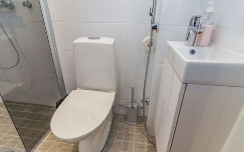 Vuosselinhelmi C6: Neve, Legna, Inverno, Villetta, Casa, Tetto, Casa, Congelamento, Log Cabin, Ramoscello