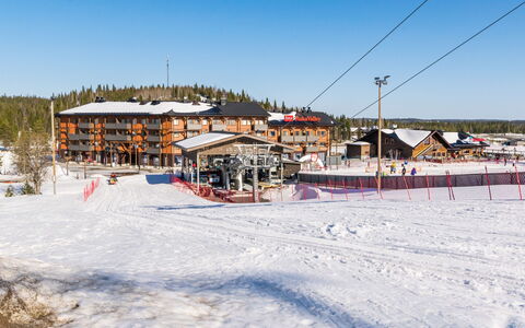 Vuosselinhelmi C6: Neve, Legna, Inverno, Villetta, Casa, Tetto, Casa, Congelamento, Log Cabin, Ramoscello