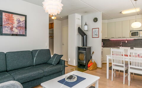 Karhunvartijan Kota B1: Mobilia, Interior Design, Pavimentazione, Legna, Pavimento, Soffitto, Divano, Camera, Soggiorno, Lampada