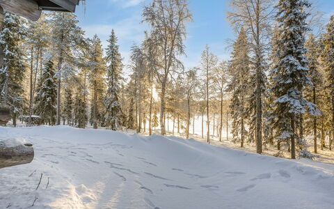 Kuontijärvi a: Ramo, Inverno, Neve, Albero, Ambiente Naturale, Legna, Foresta, Congelamento, Natura Selvaggia