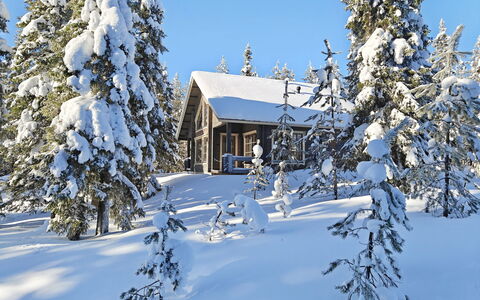 Ihtingin Koskikara: Neve, Inverno, Albero, Ramo, Legna, Casa, Villetta, Casa, Tetto, Congelamento