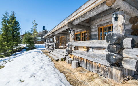 Iso-Karhu: Legna, Raccordo, Villetta, Casa, Casa, Plank, Edifici Giardino, Log Cabin, Latifoglie, Portico