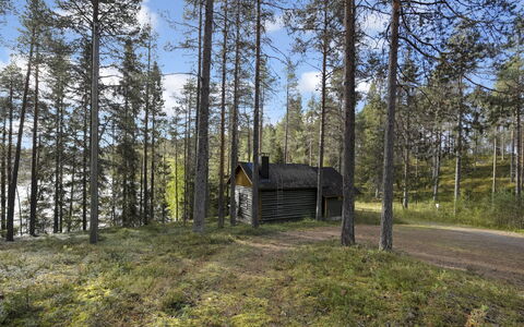 Metsämaja: Albero, Legna, Foresta, Woodland, Capannone, Lotto, Tronco, Comunita 'Impianto, Villetta