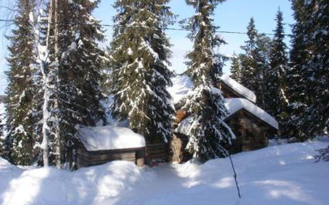 Rantapuro: Neve, Inverno, Albero, Legna, Ramo, Villetta, Casa, Fenomeno Geologico, Congelamento, Casa