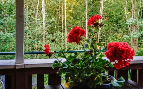 Merimetso 6: Waterway, Banca, Alveo, Lago, Villetta, Foresta, Canale, Serbatoio, Log Cabin