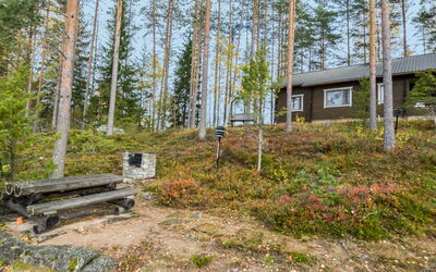 Mäntykumpu