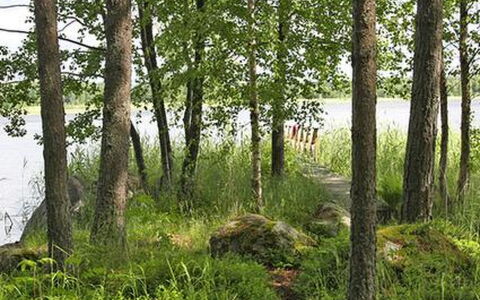 Divaanikivi: Villetta, Casa, Casa, Edifici Giardino, Raccordo, Log Cabin, Agriturismo, Estate, Capannone, Cortile