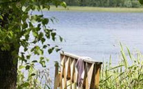 Divaanikivi: Villetta, Casa, Casa, Edifici Giardino, Raccordo, Log Cabin, Agriturismo, Estate, Capannone, Cortile