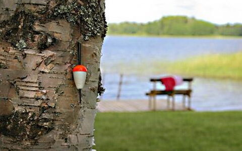 Kopinkallio 2: Villetta, Casa, Casa, Edifici Giardino, Raccordo, Log Cabin, Agriturismo, Estate, Capannone, Cortile