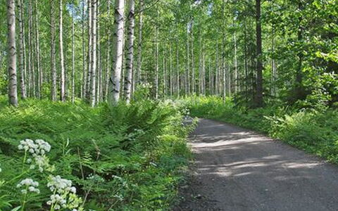 Kopinkallio 2: Villetta, Casa, Casa, Edifici Giardino, Raccordo, Log Cabin, Agriturismo, Estate, Capannone, Cortile