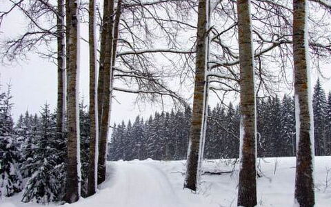Kopinkallio 2: Villetta, Casa, Casa, Edifici Giardino, Raccordo, Log Cabin, Agriturismo, Estate, Capannone, Cortile