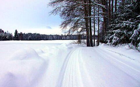 Kopinkallio 2: Villetta, Casa, Casa, Edifici Giardino, Raccordo, Log Cabin, Agriturismo, Estate, Capannone, Cortile