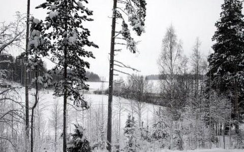 Ylähuone: Albero, Banca, Casa, Villetta, Lago, Stagno, Foresta, Log Cabin