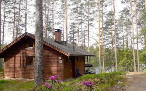 Aili: Villetta, Casa, Casa, Edifici Giardino, Raccordo, Log Cabin, Agriturismo, Estate, Capannone, Cortile