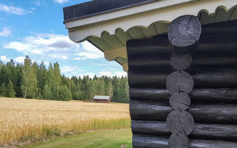 Hilupilttuu: Albero, Banca, Casa, Villetta, Lago, Stagno, Foresta, Log Cabin