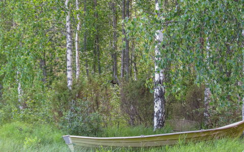 Pilkkaniemi: Villetta, Casa, Casa, Edifici Giardino, Raccordo, Log Cabin, Agriturismo, Estate, Capannone, Cortile