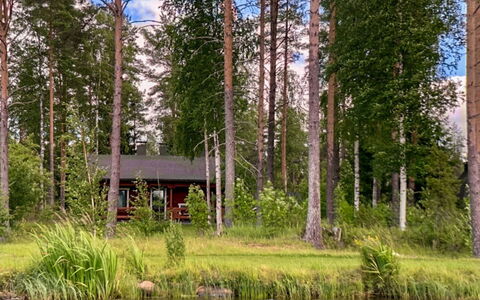Kallioniemi: Albero, Paesaggio Naturale, Banca, Foresta, Comunita 'Impianto, Woodland, Villetta, Lago