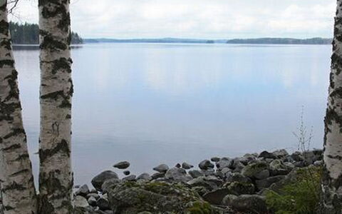 Mäntyniemi: Albero, Banca, Casa, Villetta, Lago, Stagno, Foresta, Log Cabin