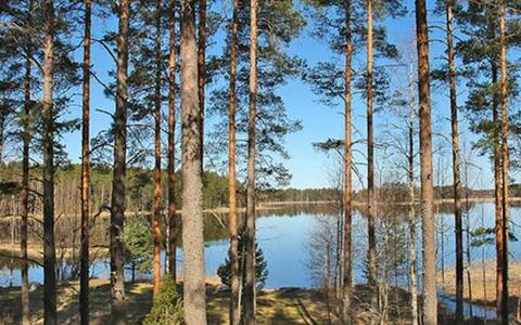 Näätämö: Villetta, Casa, Casa, Edifici Giardino, Raccordo, Log Cabin, Agriturismo, Estate, Capannone, Cortile
