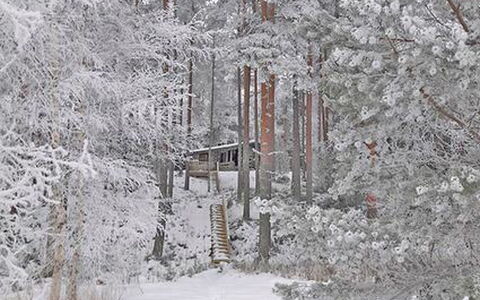 Näätämö: Villetta, Casa, Casa, Edifici Giardino, Raccordo, Log Cabin, Agriturismo, Estate, Capannone, Cortile